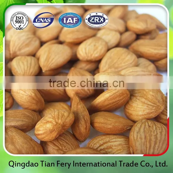 Apricot Kernels/ Bitter and Sweet Apricot Kernels photo-3