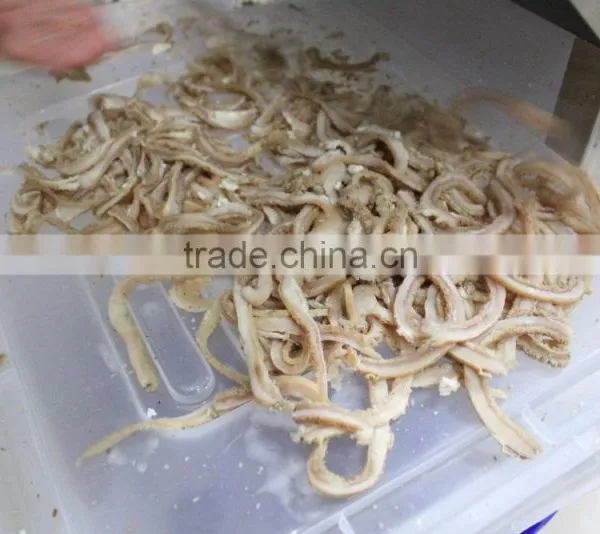 FC-304 CE Approved Commercial Cooked Meat Cutter Cutting Machine photo-6