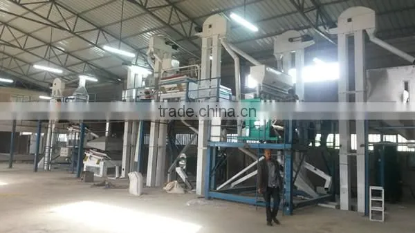 Cereal Grain Barley Seed Processing Plant (hot Sale in Australia) photo-3