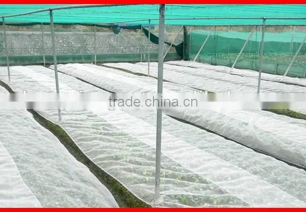Cheap Wholesale High Quality Hot Sell Agriculture Greenhouse Anti Insect Net photo-2