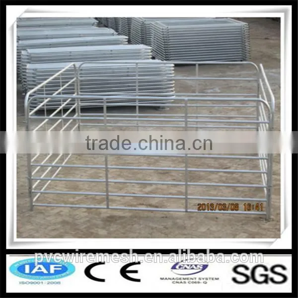 Welded Wire Mesh Black Horse Fence photo-5