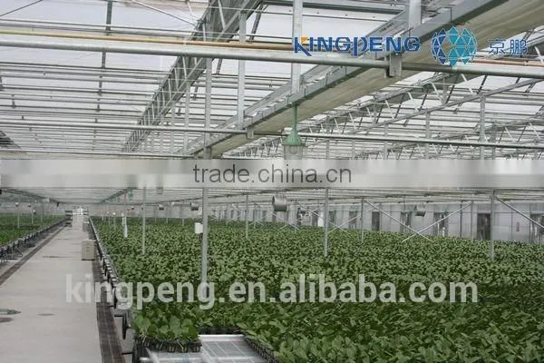Multi Span Polycarbonate Sheet Greenhouse photo-2