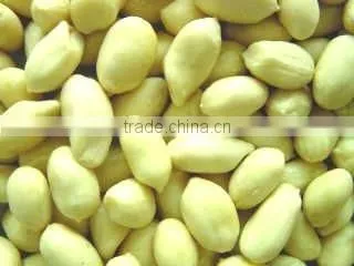 Peanut Kernal Cocoa Kernal Classify Machine Line/ Z Shape Conveyor/ Z Shape Elevator photo-3