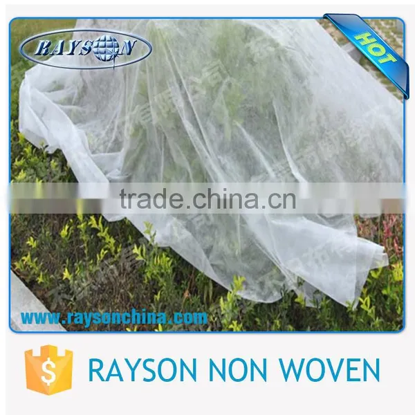 3 Years Warranty Best Sale Banana Fruit Bag / Frost Cover photo-4