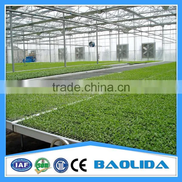 Multi-span Greenhouse photo-2