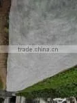 Plastic Agricultural Perforated Film With Holes for Seeding Growth photo-2