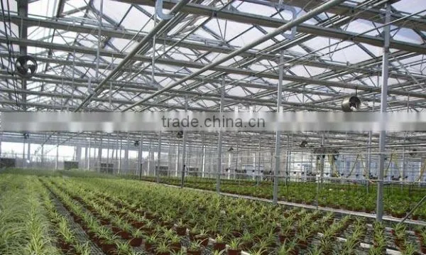 Hydroponic Growing Greenhouse