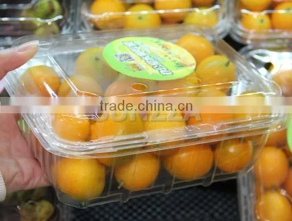 Disposable Packaging ;Vegetable Box ;Fruit Dish photo-5