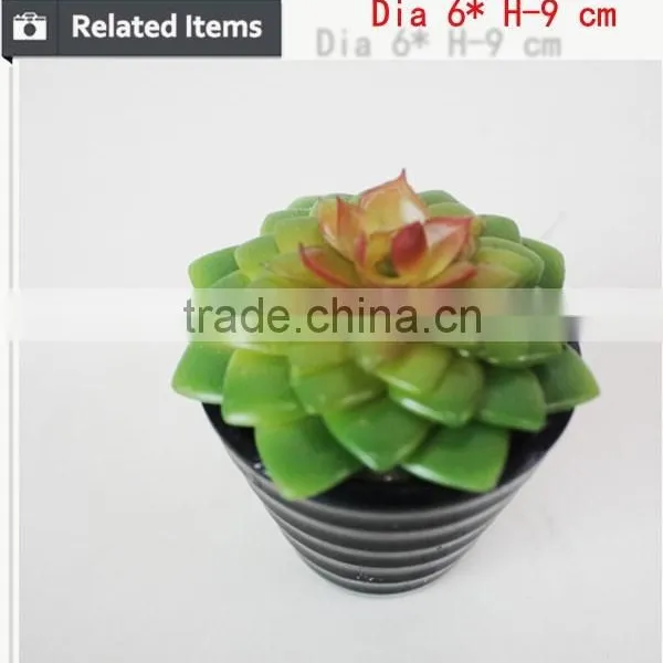 Mini Artificial Succulent Plants in Glass Bowl Potted Mini Succulents photo-5