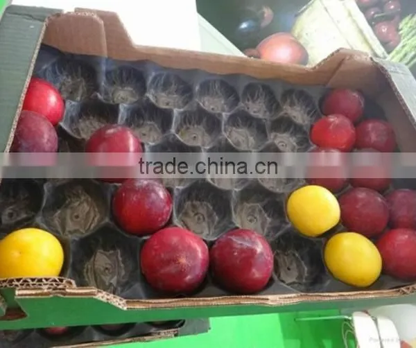 Customed SGS/FDA Testing PP Fruit Pear Alveols Tray photo-2