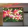 Indoor Led Full Colour Display