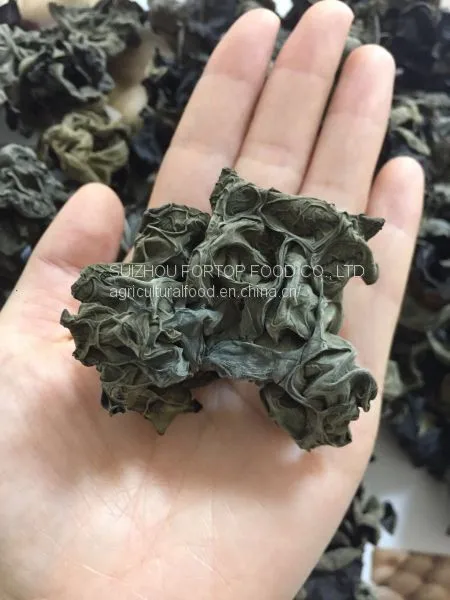 Factory Price Big Fungus Dried Black Mushroom Whole Like a Flower photo-5