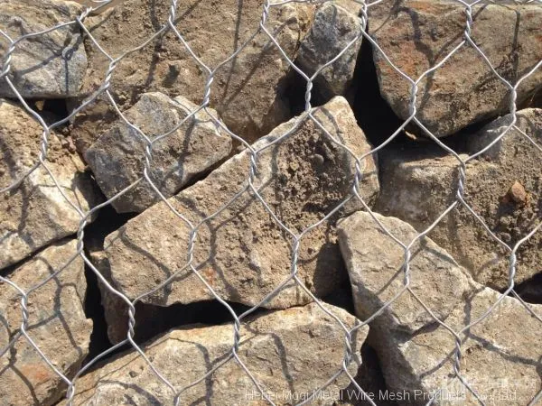 Low Price Hot Dipped Galvanized 8x10cm Heavy Hexagonal Gabion Wire Mesh for Retaining Walls photo-2