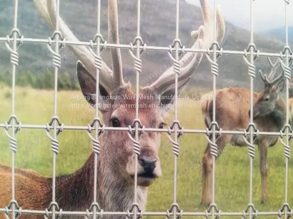 Deer Fence photo-3