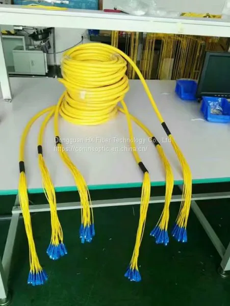 Fiber Optic Patch Cord