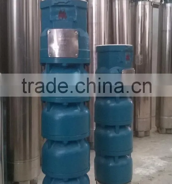 Stainless Steel Submersible Pumps in 4'', 6'',8'', 10'' Inches. Cast Iron Submersible Also Available. photo-3