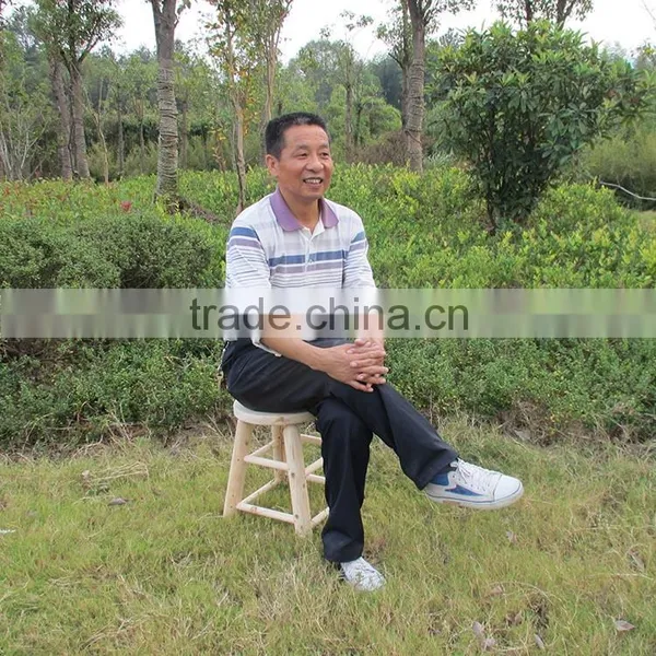 Outdoor Wooden Garden Stool photo-3