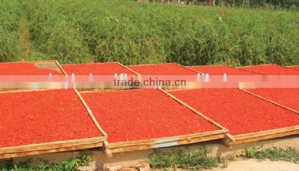 ORGANIC GOJI SIZE A280,A380