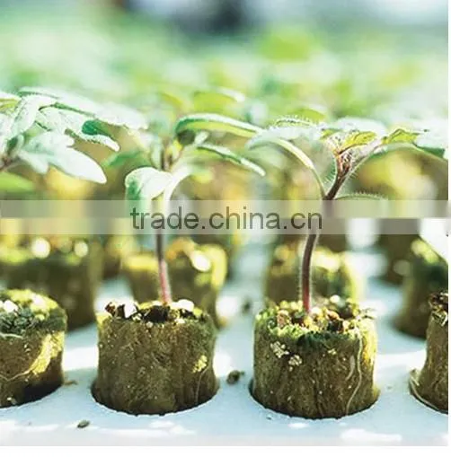 Seedling Rockwool Hydroponic System photo-3