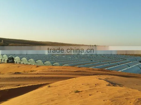 Professional Hydroponics / NFT / Trough Growing Gutter for Polycarbonate / Poly Film Multi Span Greenhouse photo-4