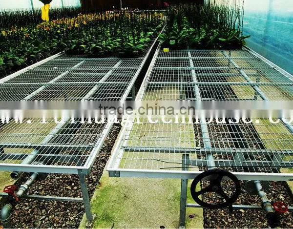 Agricultural Greenhouse Mobile Bench