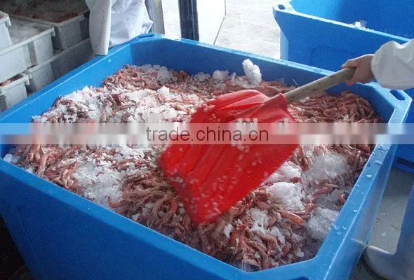800L Cold Chain Logistics Cooler Box Ice Box for Commercial Fishing photo-3