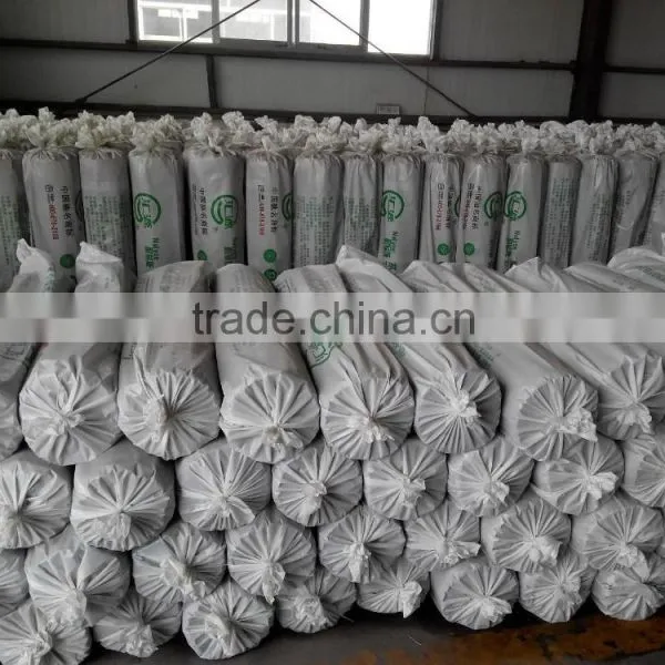 Largest Factory: Slope Roof Waterproofing Membrane, SBS/APP Bitumen Roll Roofing photo-5