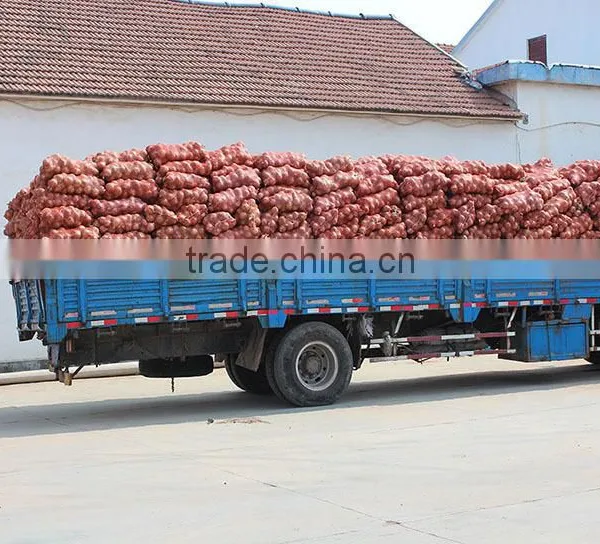Many Types Red Onions From Onion Exporters China photo-4