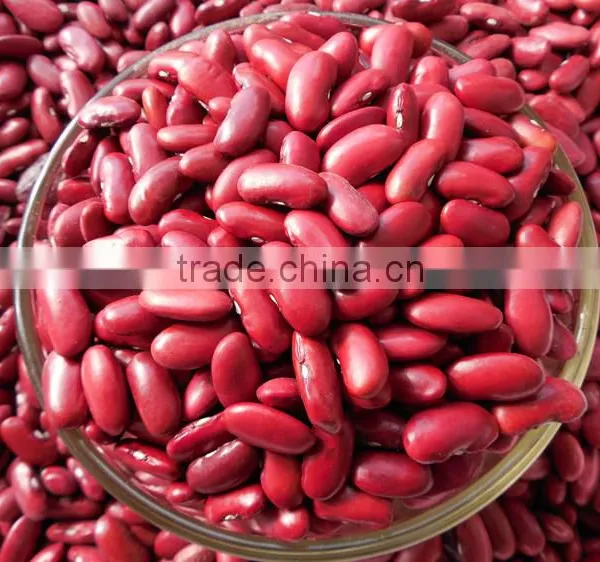 2015 Crop, Dark Red Kidney Beans , Heilongjiang Origin photo-2