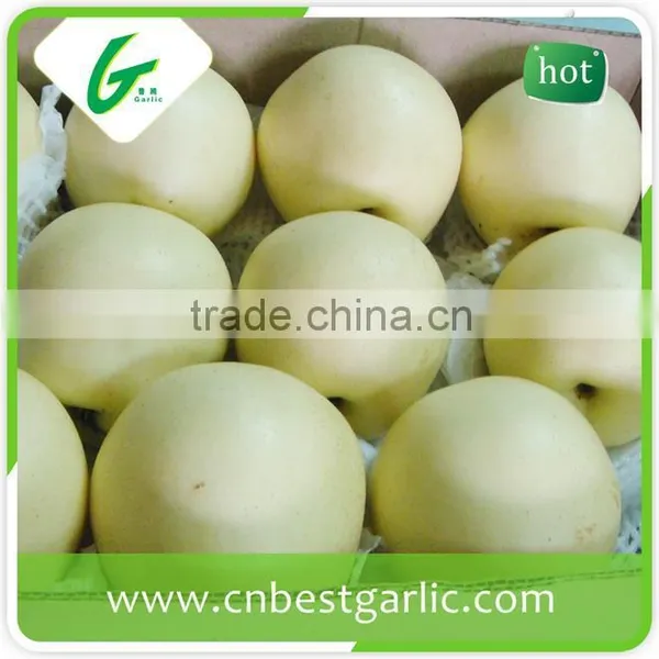 2016 New China Bulk Fresh Crown Pear photo-4