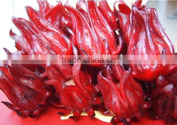GMP Natural High Quality Water Soluble Hibiscus Extract Powder/Roselle Extract Powder photo-4