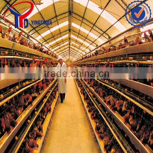 Reptile Cages photo-2