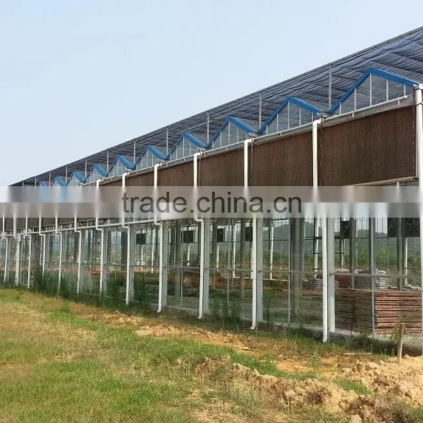 High Quality Best Price Wet Curtain /Cooling Pad photo-5