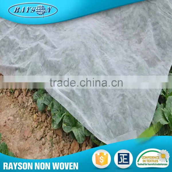India Pp Spunbond Agriculture Non Woven Fabric photo-4