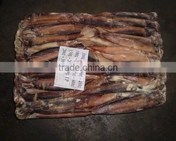 China Exporter Frozen Argentina Squid Illex Argentinus photo-2