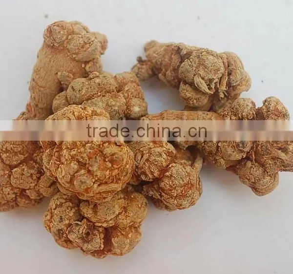 Factory Supply Dietary Supplyment 100% Natural Panax Notoginseng P.E. / Wild Radix Notoginseng Extract photo-2