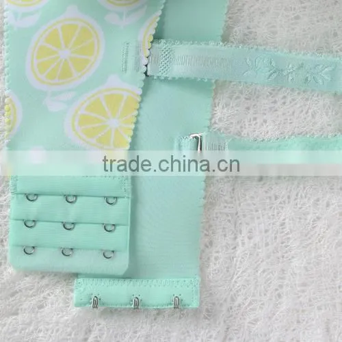 Women Seamless Panties and Bra Hot Anty Factory in China photo-5