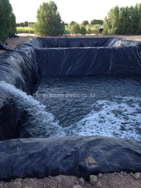 20 Years Usage Life HDPE Reinforced Pond Liner,any Size Can be Customized Fish Farming Liner,UV Treated Waterproof Membrane photo-3