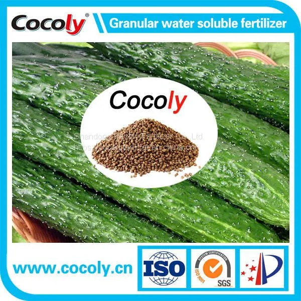 Cocoly Amino Acid Fertilizer+PAS