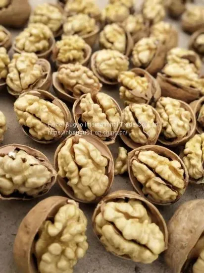 Walnut Inshell photo-5