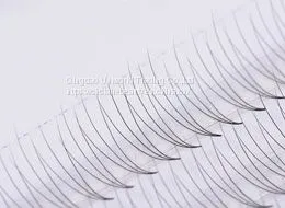Magnetic Lashes and Liner Wholesale Supplier