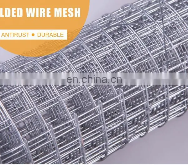 High Quality 6 Gauge Welded Wire Mesh Fence Panels photo-2