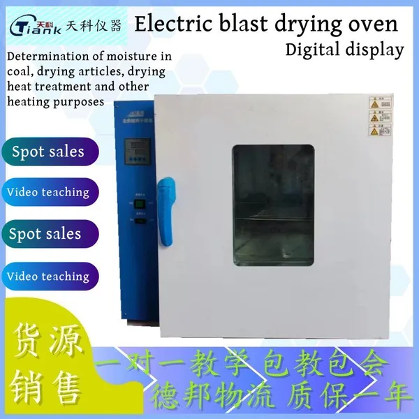 Electric Blast Drying Oven 101 Series Digital Display One Key on