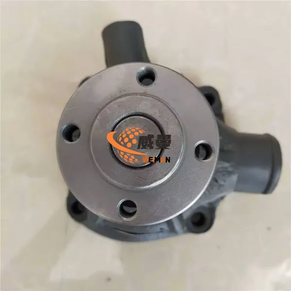 12273212 Water Pump for WeichaIi TD226B Engine photo-3