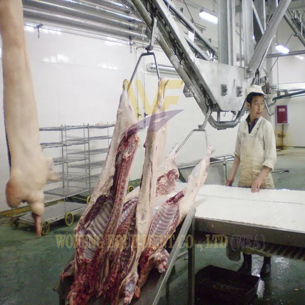 Turnkey Pig Slaughterhouse Machinery Project Hog Abattoir Line Equipment HACCP Swine Butchery Machine Pork Processing Plant photo-3