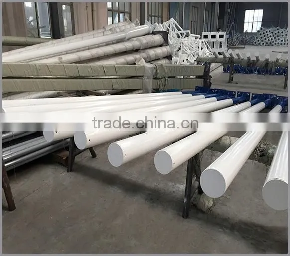 Outdoor Garden Application Steel Pole Camera Mounting System High Quality Steel Monitor Pole photo-5