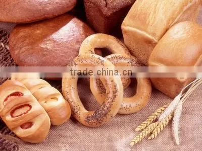 Mini Rotary Oven for Baking Bread and Bread Oven photo-2