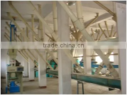 Continuous and Automatic High Grade Wheat Flour Production Line photo-2