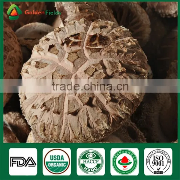 How to Grow Mushroom Shiitake Mushroom Culture Mushroom Plant Growing Kit Log Edible Mushrooms photo-4
