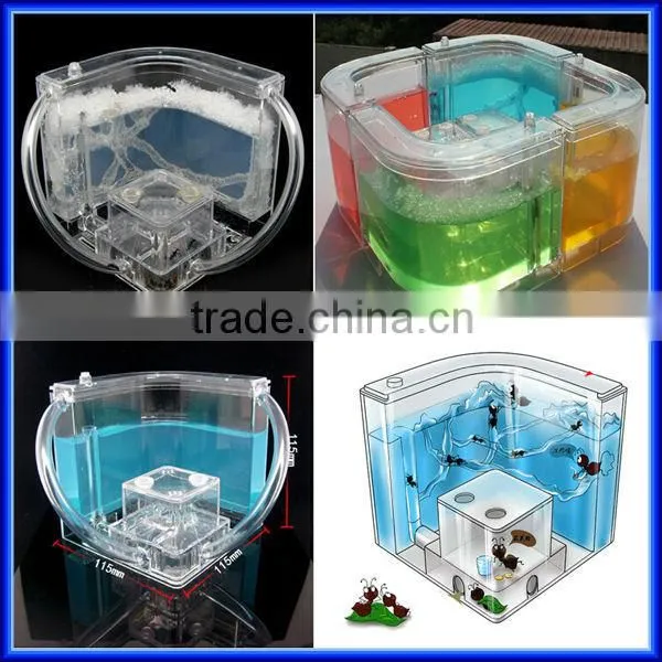 Hot Selling Ant Farm for Children Educational Toys, Intelligent DIY Ant Farm Works Nutrition Gel Ant Farm Toy